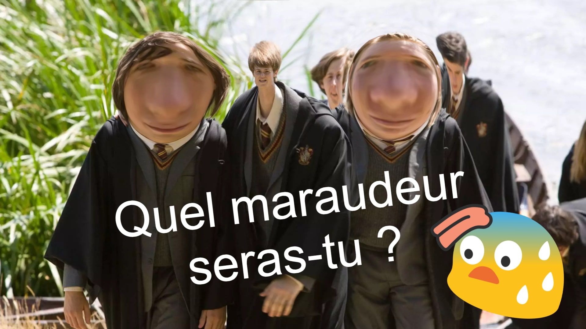 Test : Quel Balais Aurais-Tu Dans Harry Potter ?